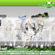 Image for article titled Japanese Xbox Users Made a Miiverse Clone. Yep, It's Covered in Dicks.